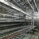 Автоматическая система расстойки с люльками 